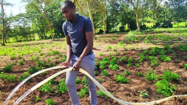 IMG_20210130_105203_1_es6n4p