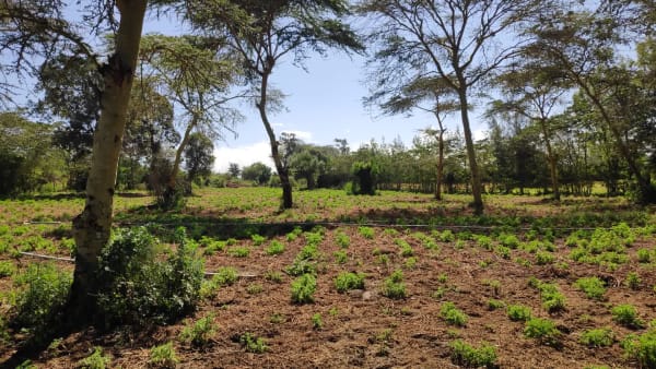 IMG_20210130_105537_kcdzlx