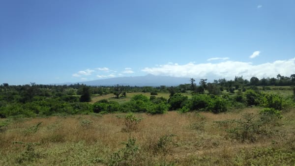 IMG_20210130_111636_1_rninr1