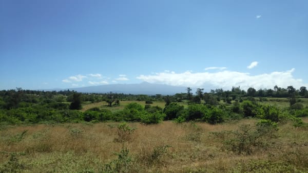 IMG_20210130_111638_va0n8h