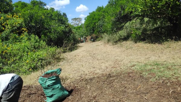 IMG_20210130_114835_aprtf0