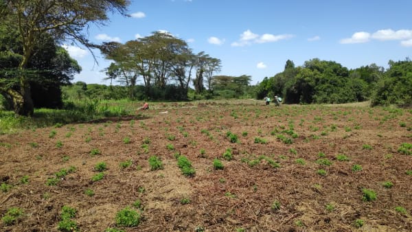 IMG_20210130_115526_1_hld2xm