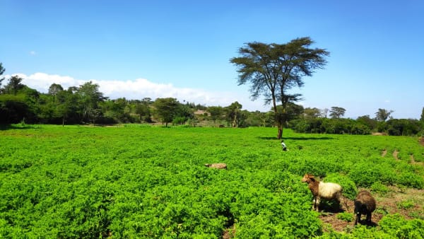 IMG_20211120_103248_umsslt