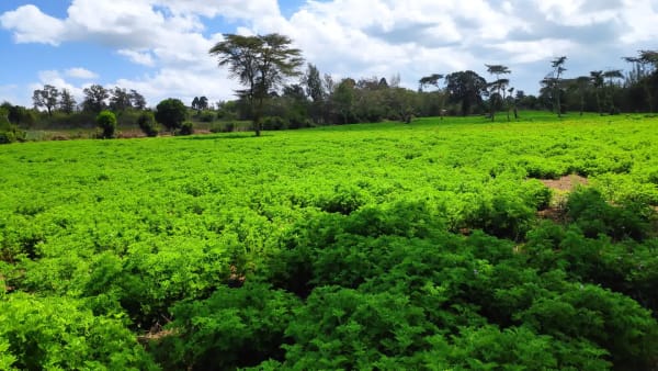 IMG_20211120_105121_ko2sdo