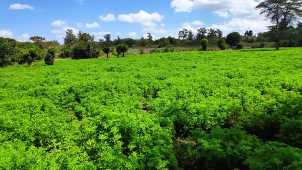 IMG_20211120_105122_tisunw