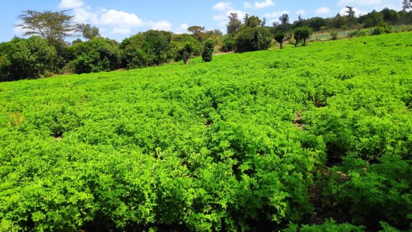 IMG_20211120_105123_qbej7u