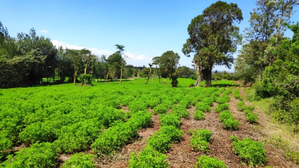 IMG_20211120_110318_ac7m9m