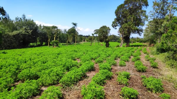 IMG_20211120_110319_1_nqn3yl