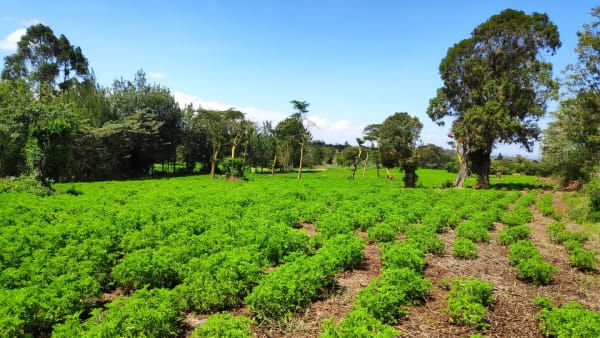 IMG_20211120_110322_1_kfv9av