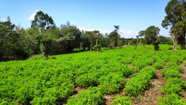 IMG_20211120_110325_svtlhq