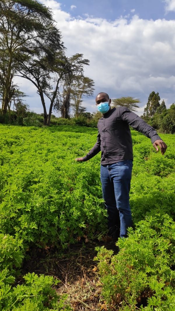 IMG_20220107_152033_kmalr6