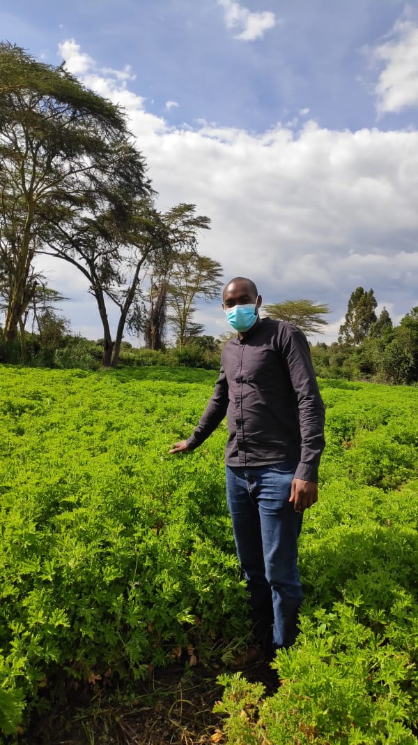 IMG_20220107_152037_lm8zuy