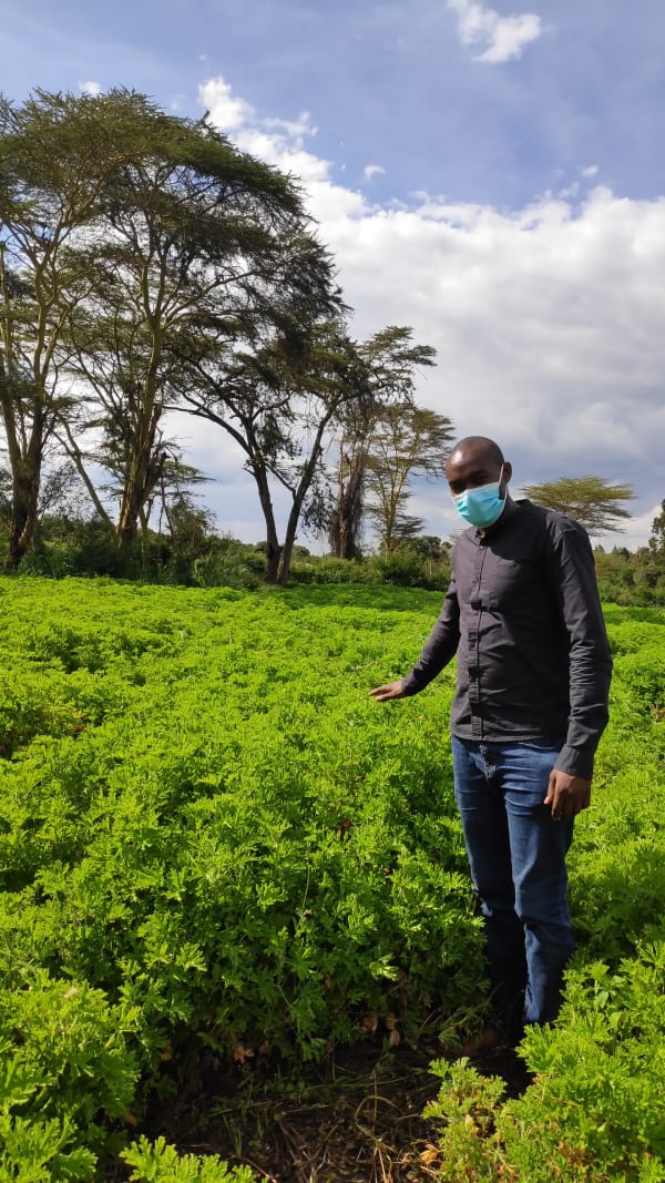 IMG_20220107_152039_ezqhrl