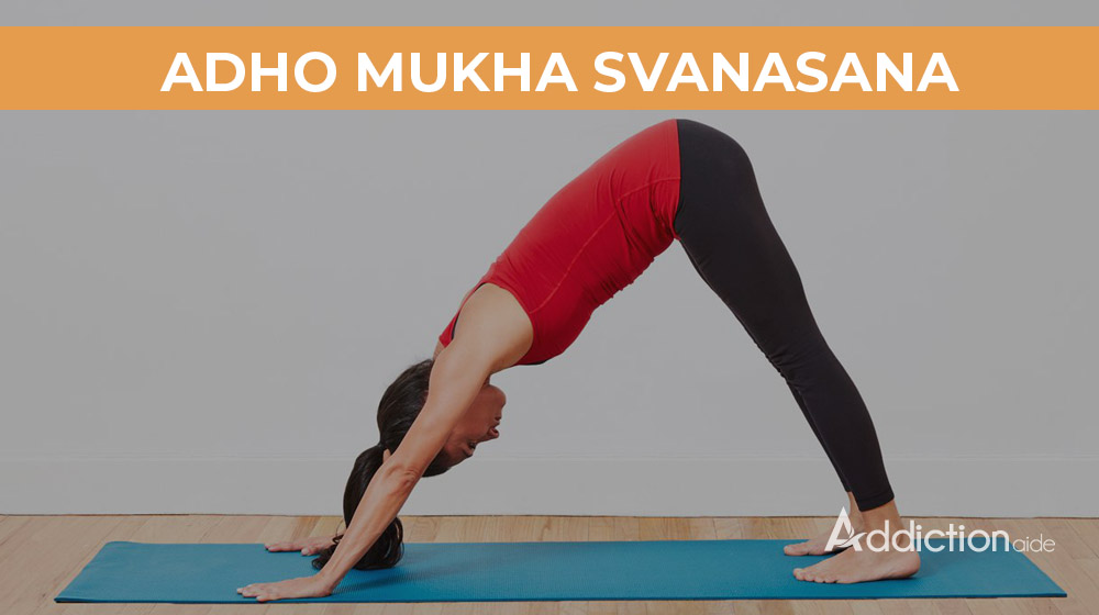 downward-facing dog pose