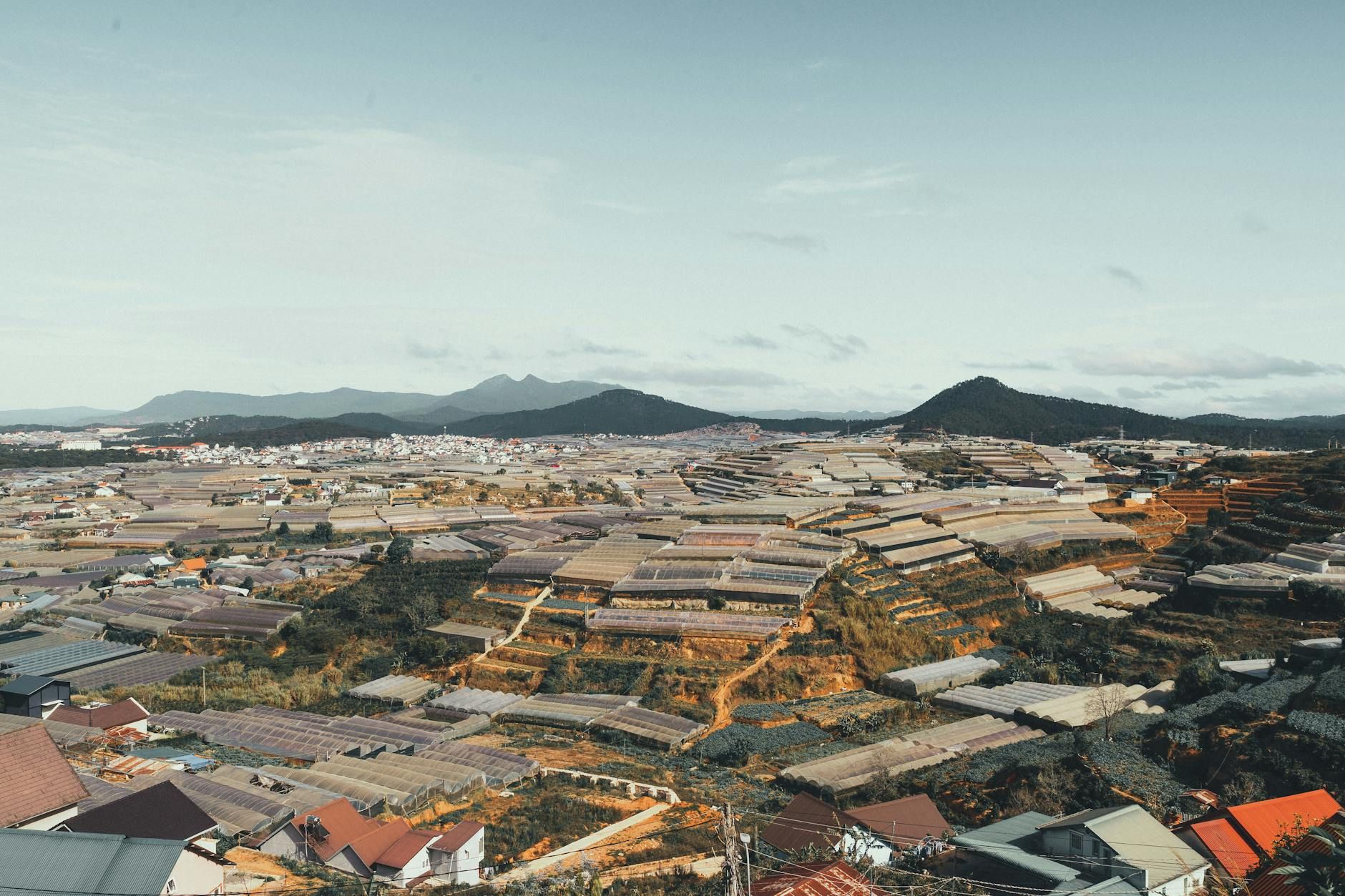 A panoramic aerial view of Đà Lạt's lush greenhouses and rolling hills under a vast sky.