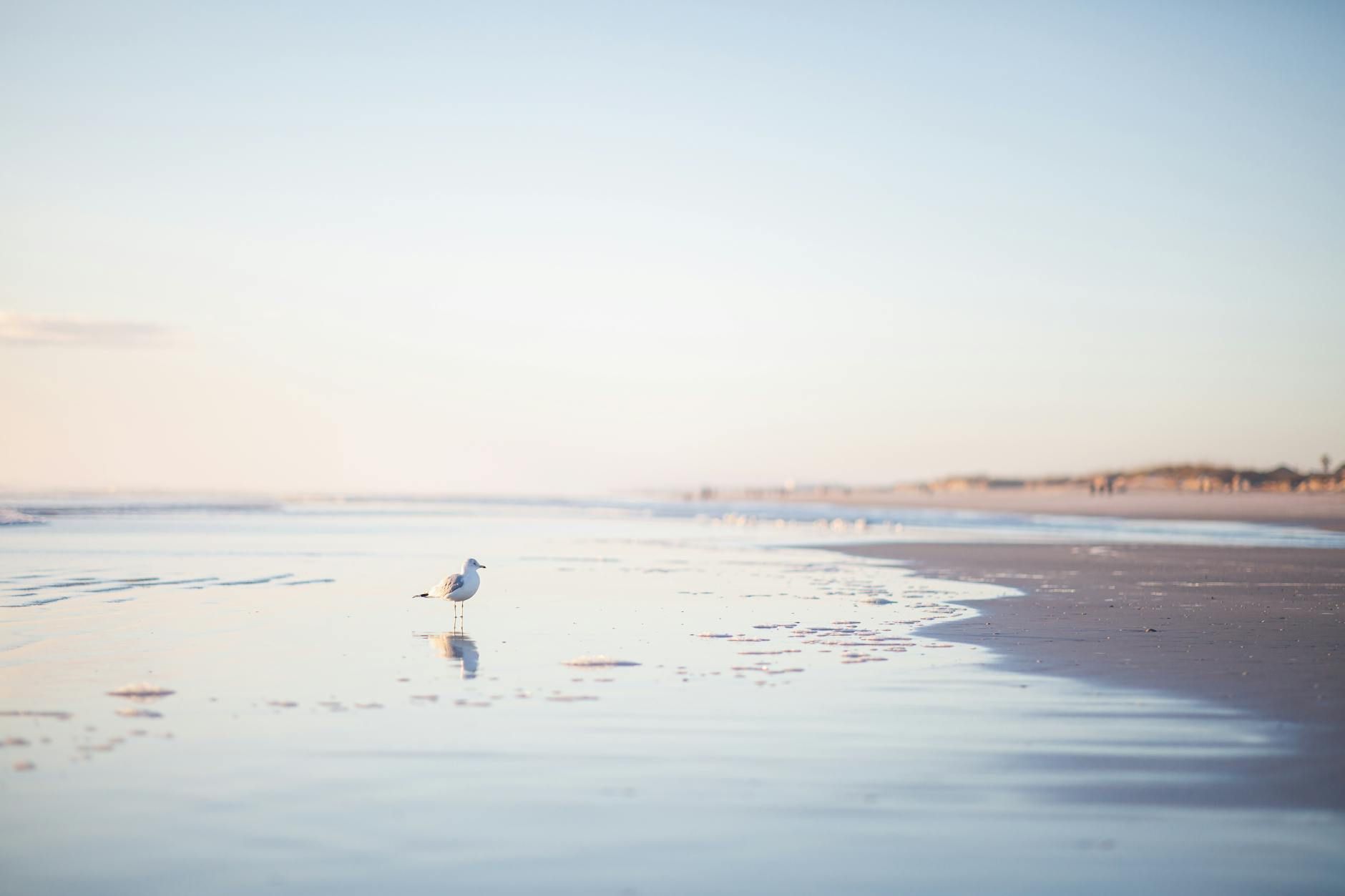 Đi biển một mình lúc 5 giờ sáng, không ai biết