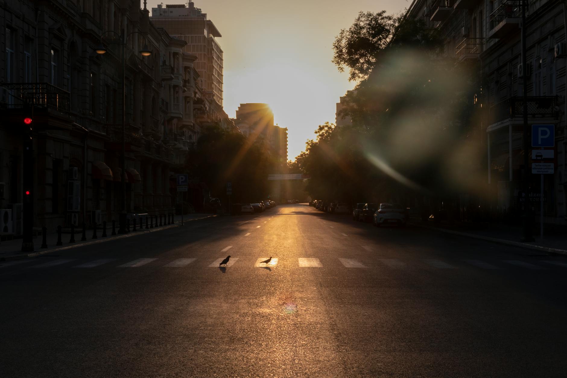 A serene city street in Baku, Azerbaijan at dawn with lens flare and zebra crossing.