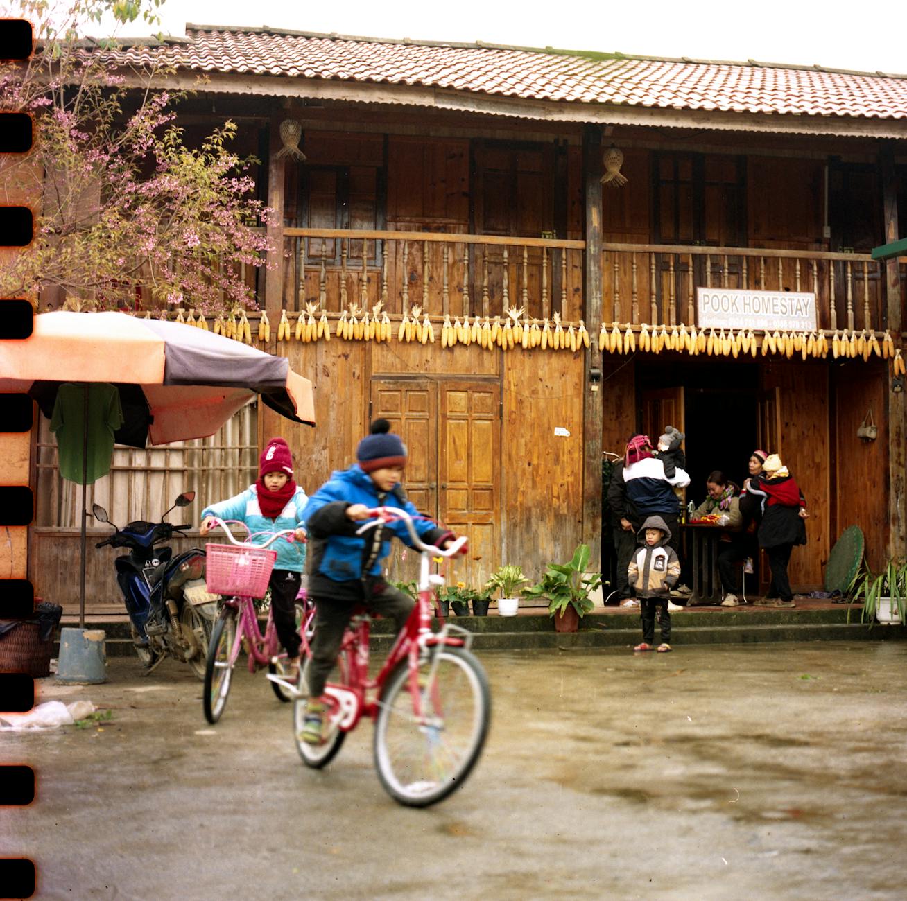 Children ride bicycles outside a wooden homestay in a vibrant village scene filled with activity.