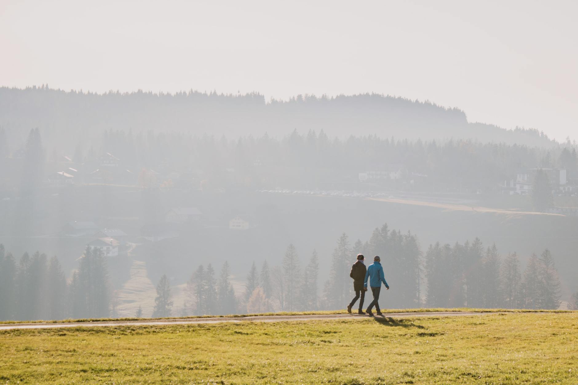 Two people walk on a sunny hillside with distant trees creating a serene landscape.