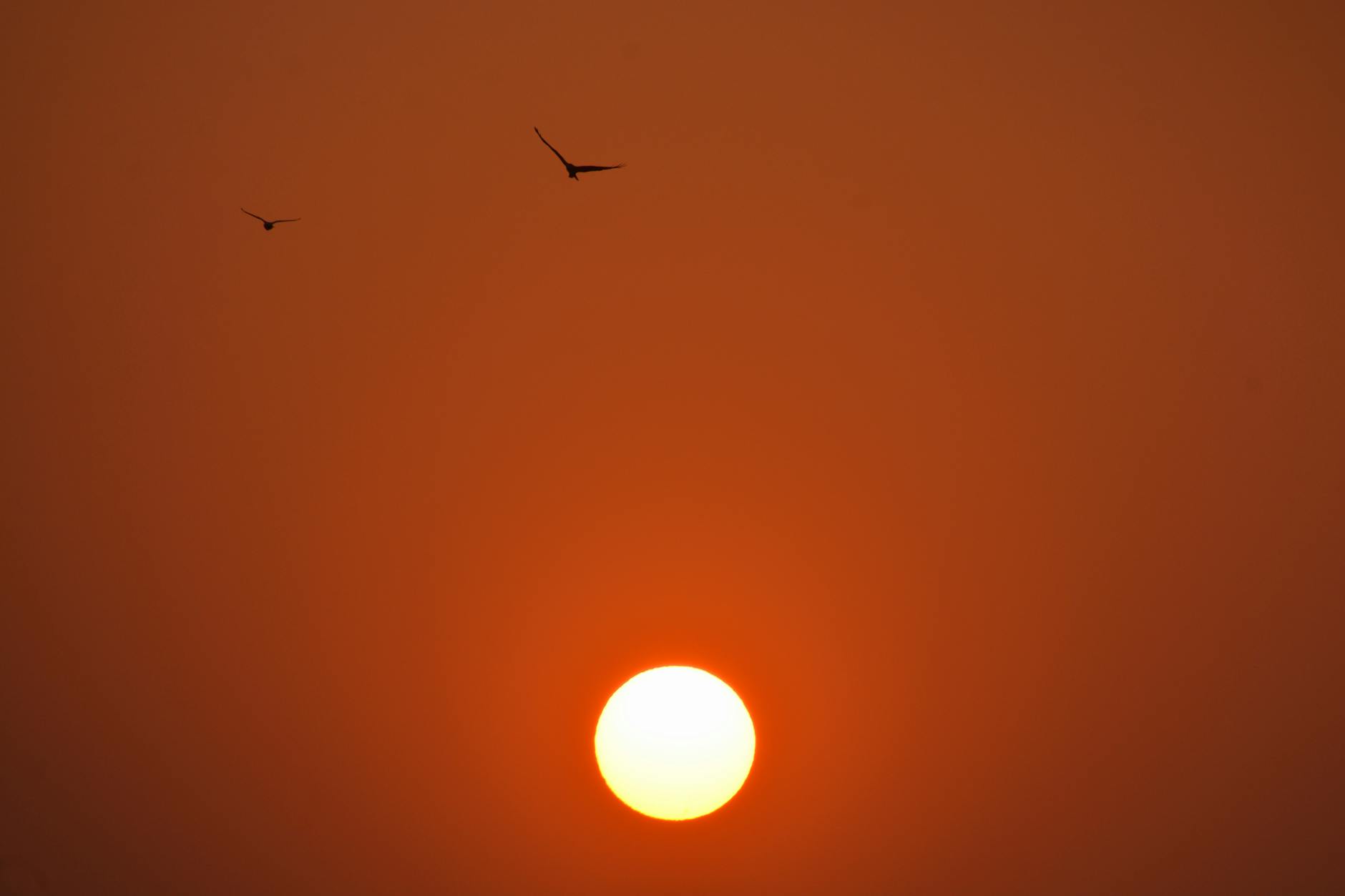 Beautiful sunrise over Mumbai with silhouettes of flying birds against a vibrant orange sky.