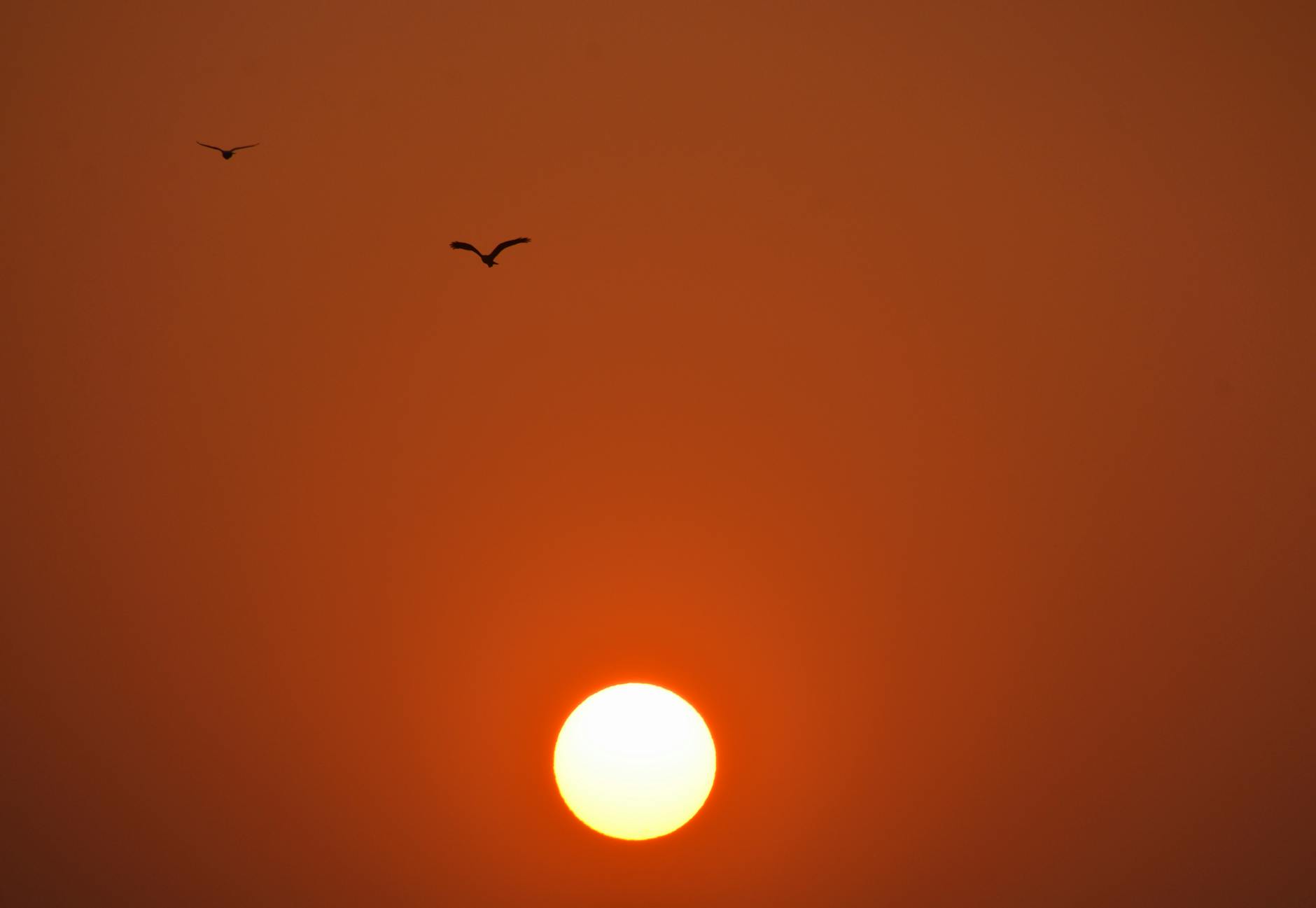 Captivating sunrise with birds flying over a beach in Mumbai, India.