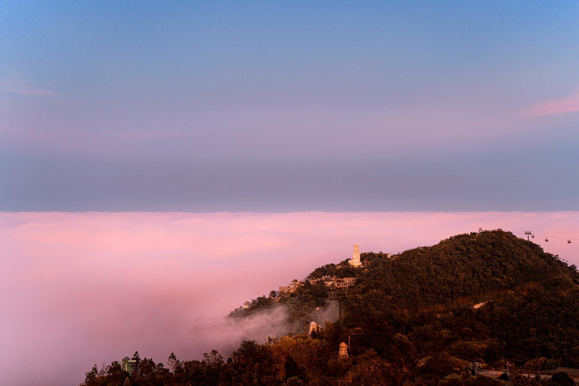 Giữa rừng xanh, nơi tiếng gió nhẹ nhàng vỗ về