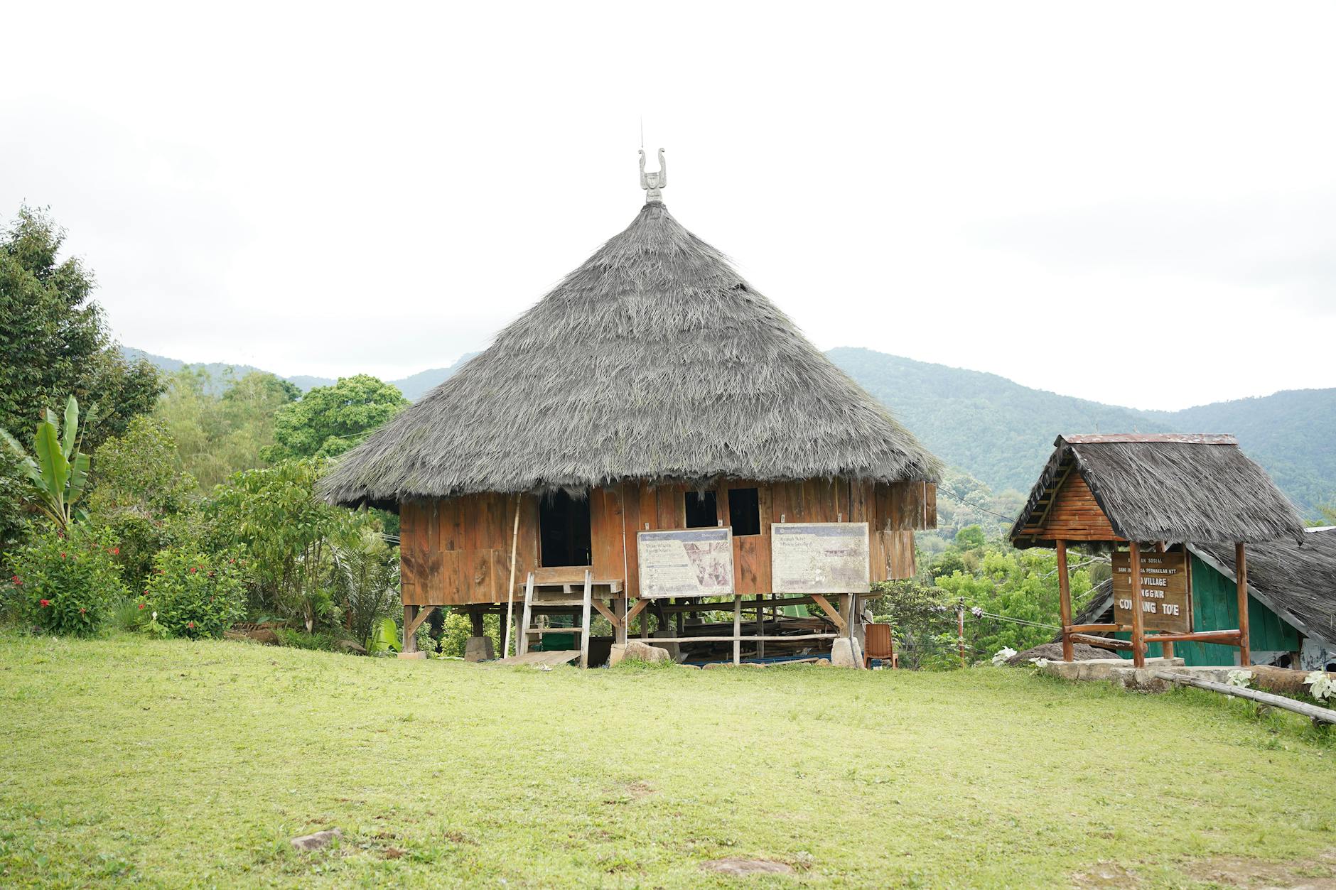 A traditional thatched hut in East Nusa Tenggara, Indonesia, set against lush greenery.