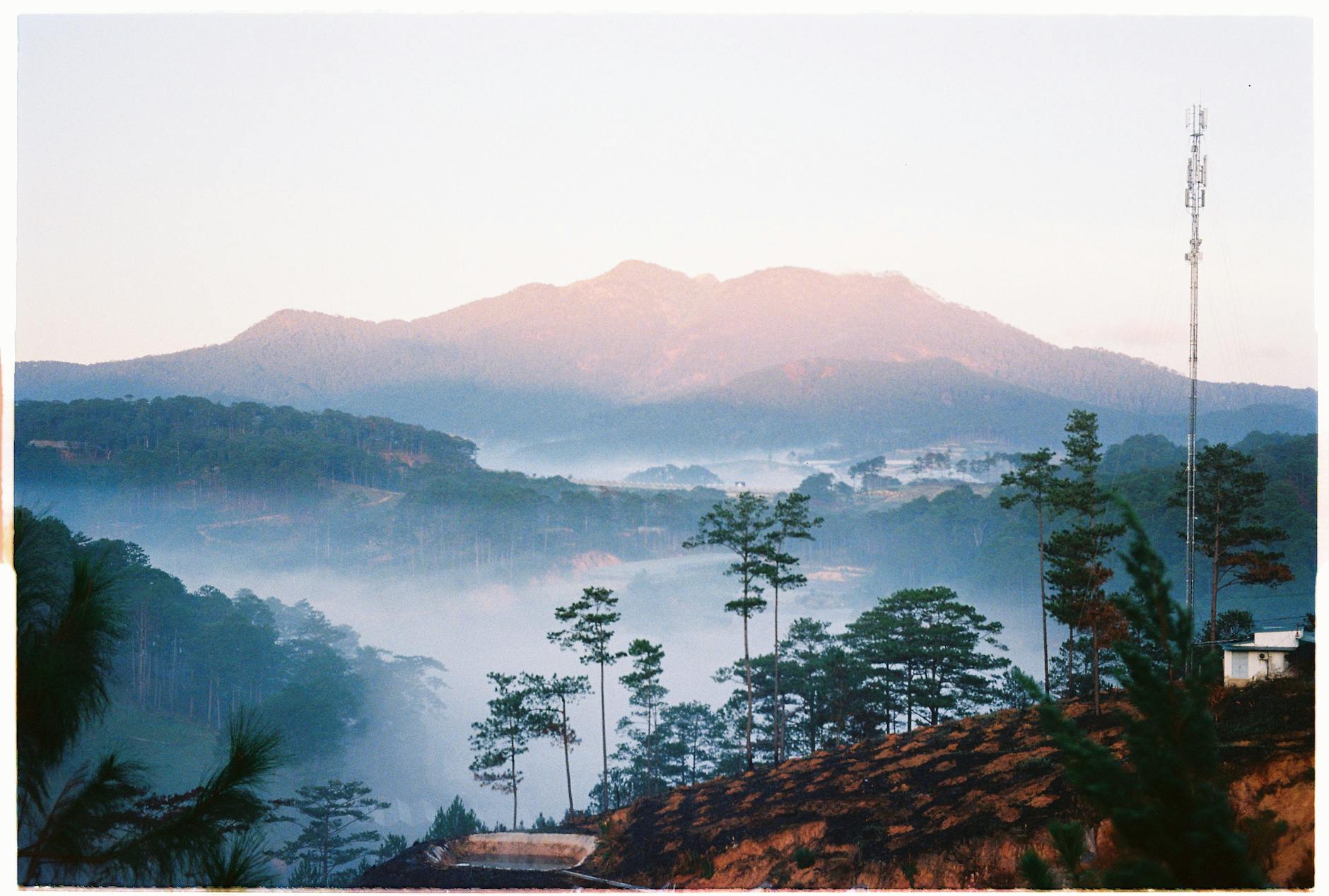 Serene mountain landscape with pine trees shrouded in mist at dawn.