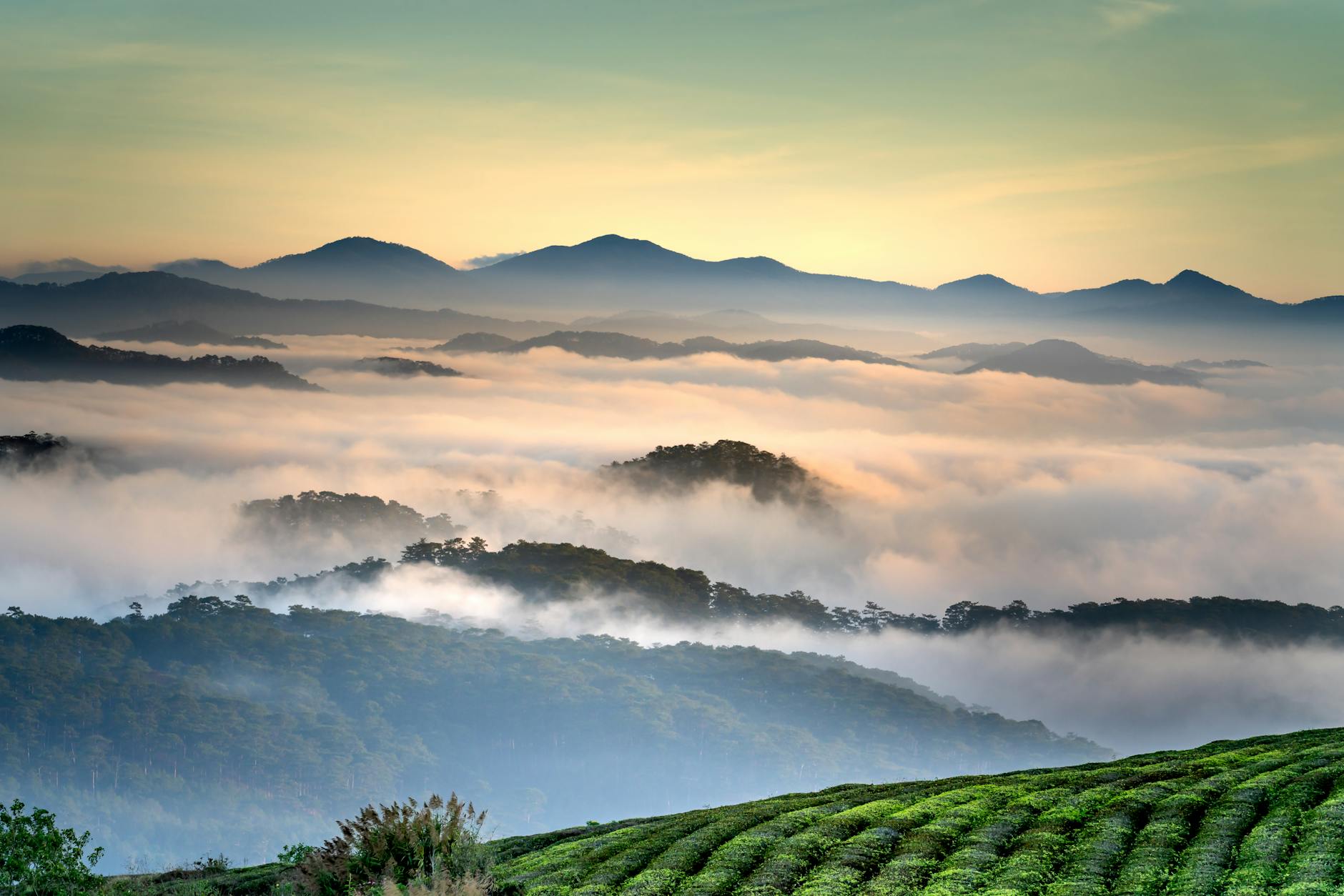 Tranquil mountain landscape with clouds enveloping the hills at sunrise.