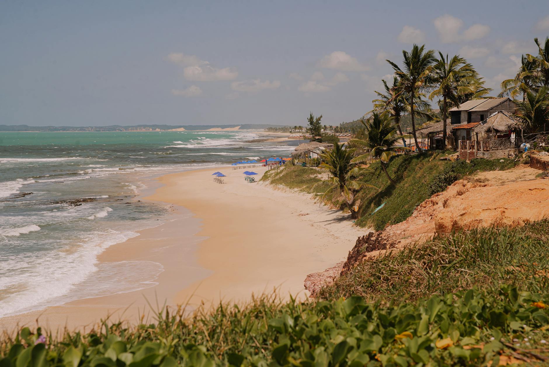 Beautiful tropical beach with tranquil ocean waves and lush palm trees under a clear blue sky.