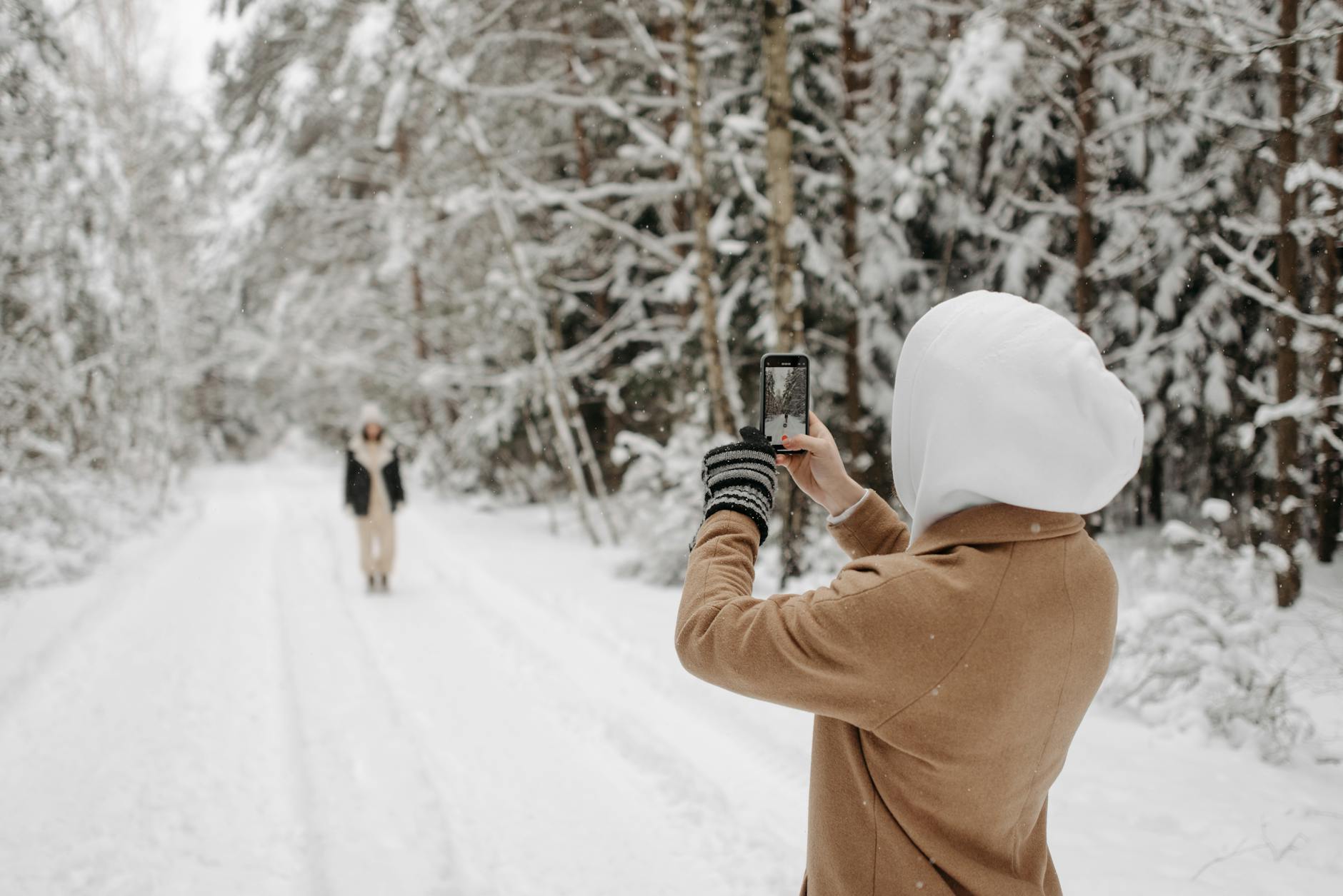 A person photographs a snowy forest scene, highlighting winter beauty.