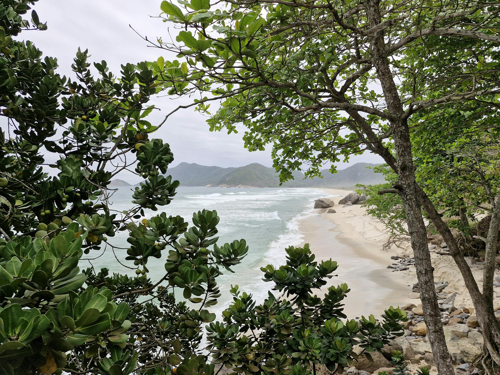 Scenic ocean view framed by lush greenery and sandy beach, showcasing natural beauty.