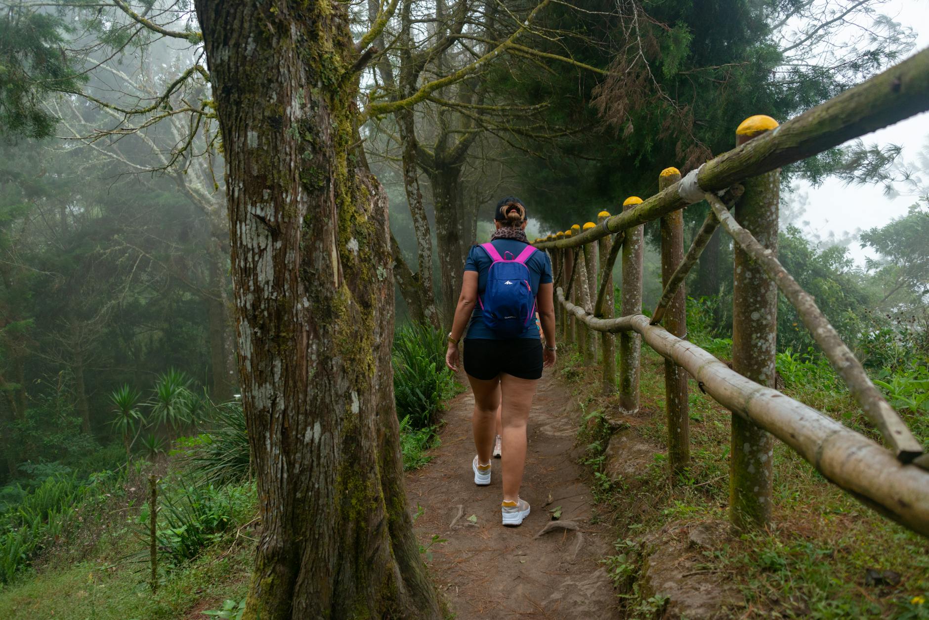 A woman with a backpack hiking on a misty forest trail surrounded by lush greenery.