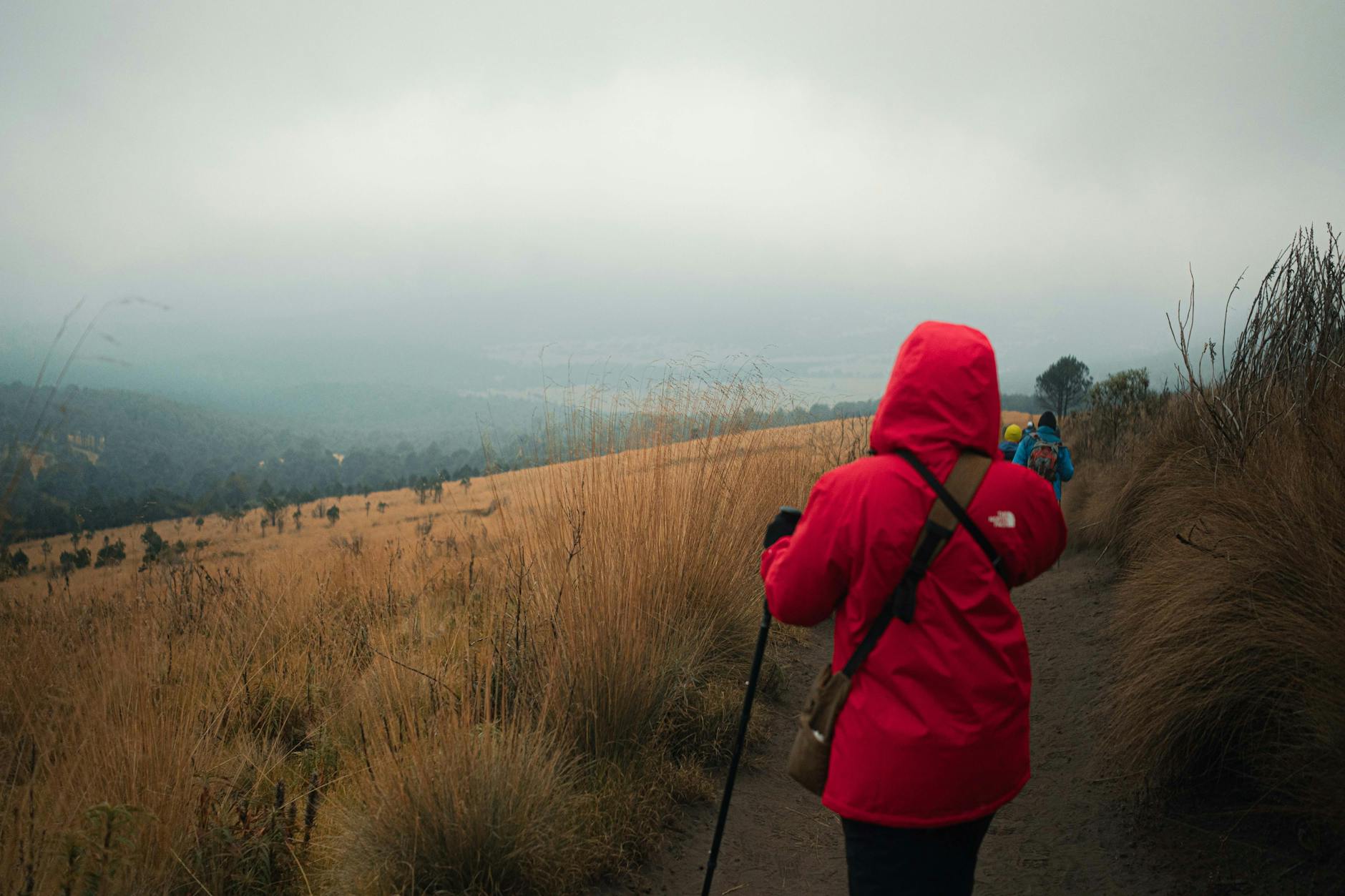 Hiker in red jacket walks along a foggy mountain trail surrounded by tall grass.