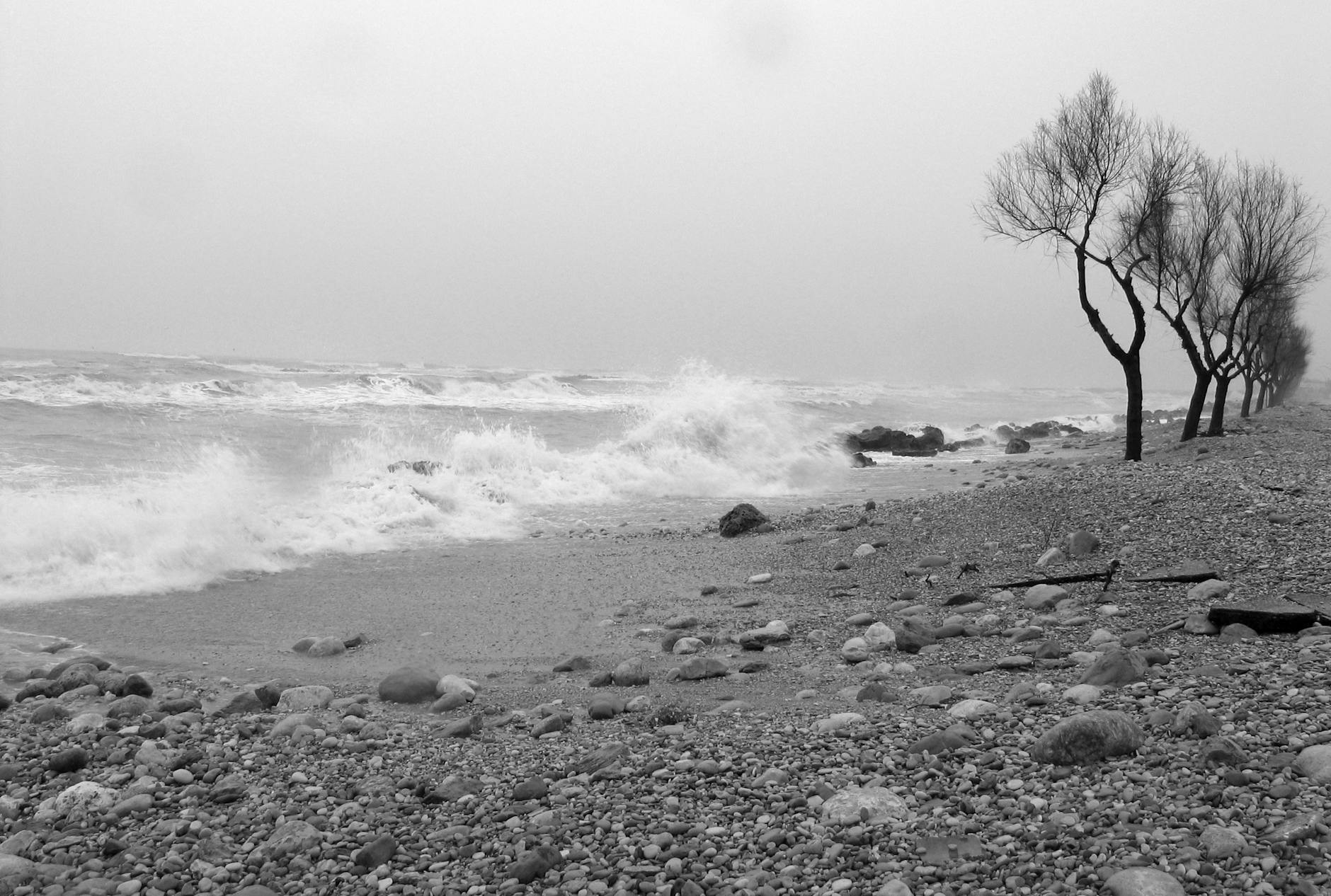 Stormy waves crash on a rocky beach with bare trees, captured in monochrome.