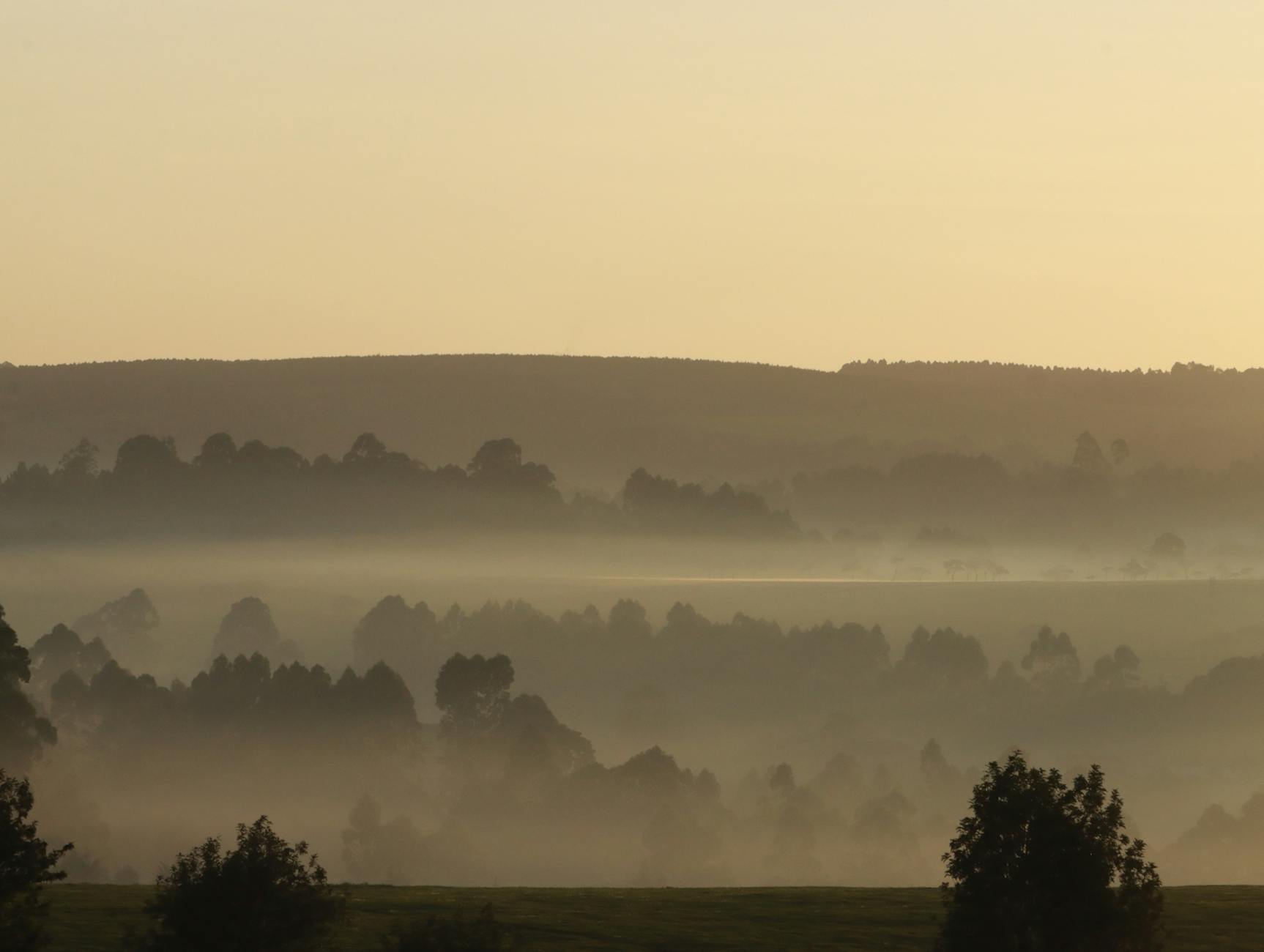 Serene misty hills at sunrise create a calming and ethereal landscape view.