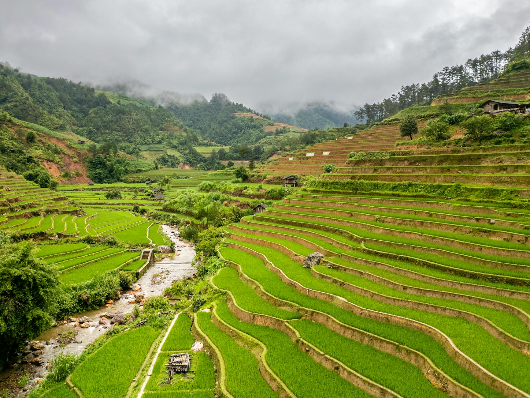 Vibrant rice terraces in Mu Cang Chai, Vietnam, under cloudy skies offering a serene landscape view.