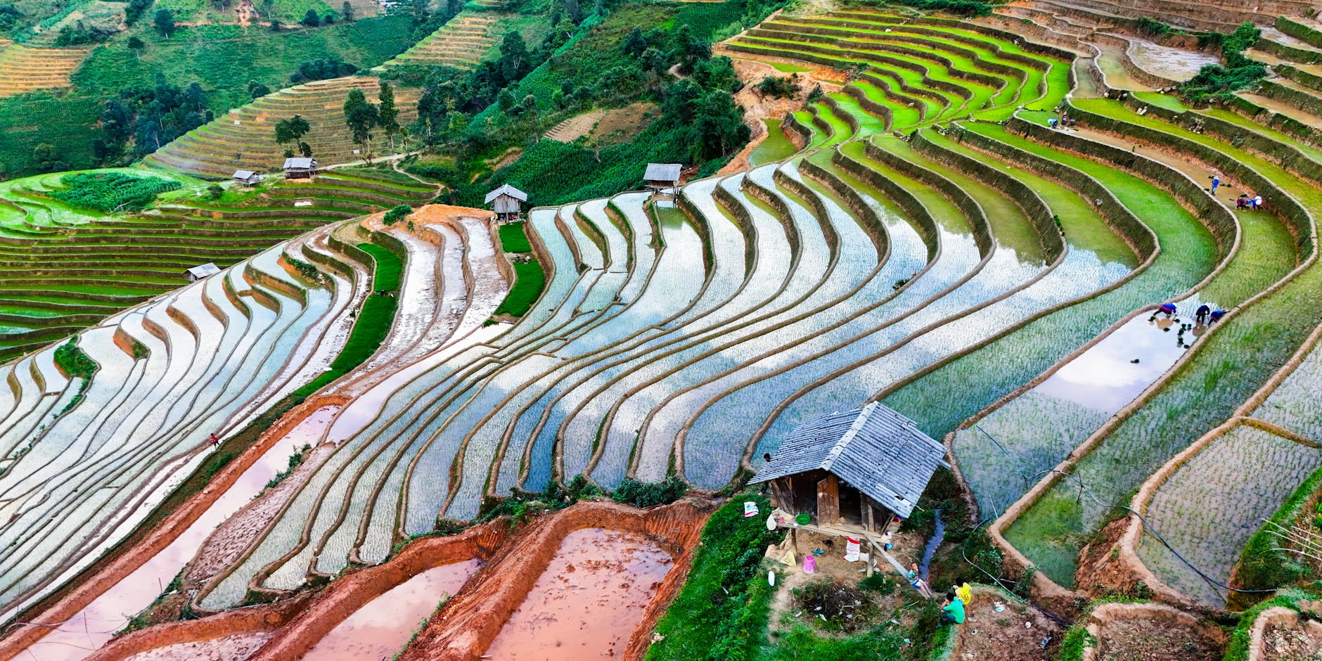 Aerial view of vibrant rice terraces in Mu Cang Chai District, Vietnam.
