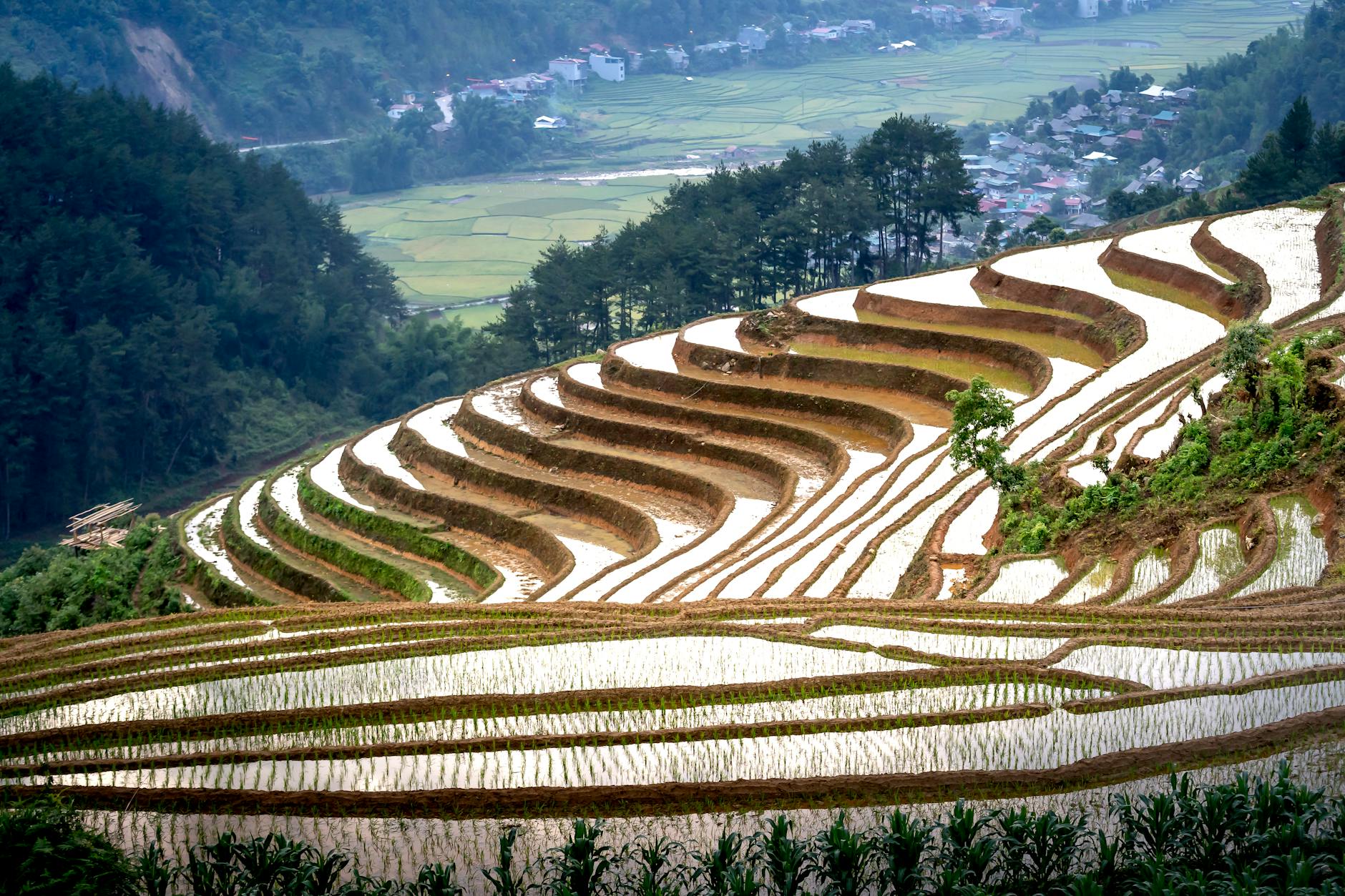 Spectacular scenery of rice paddy terraces ans small settlement located on mountain slope in Vietnam