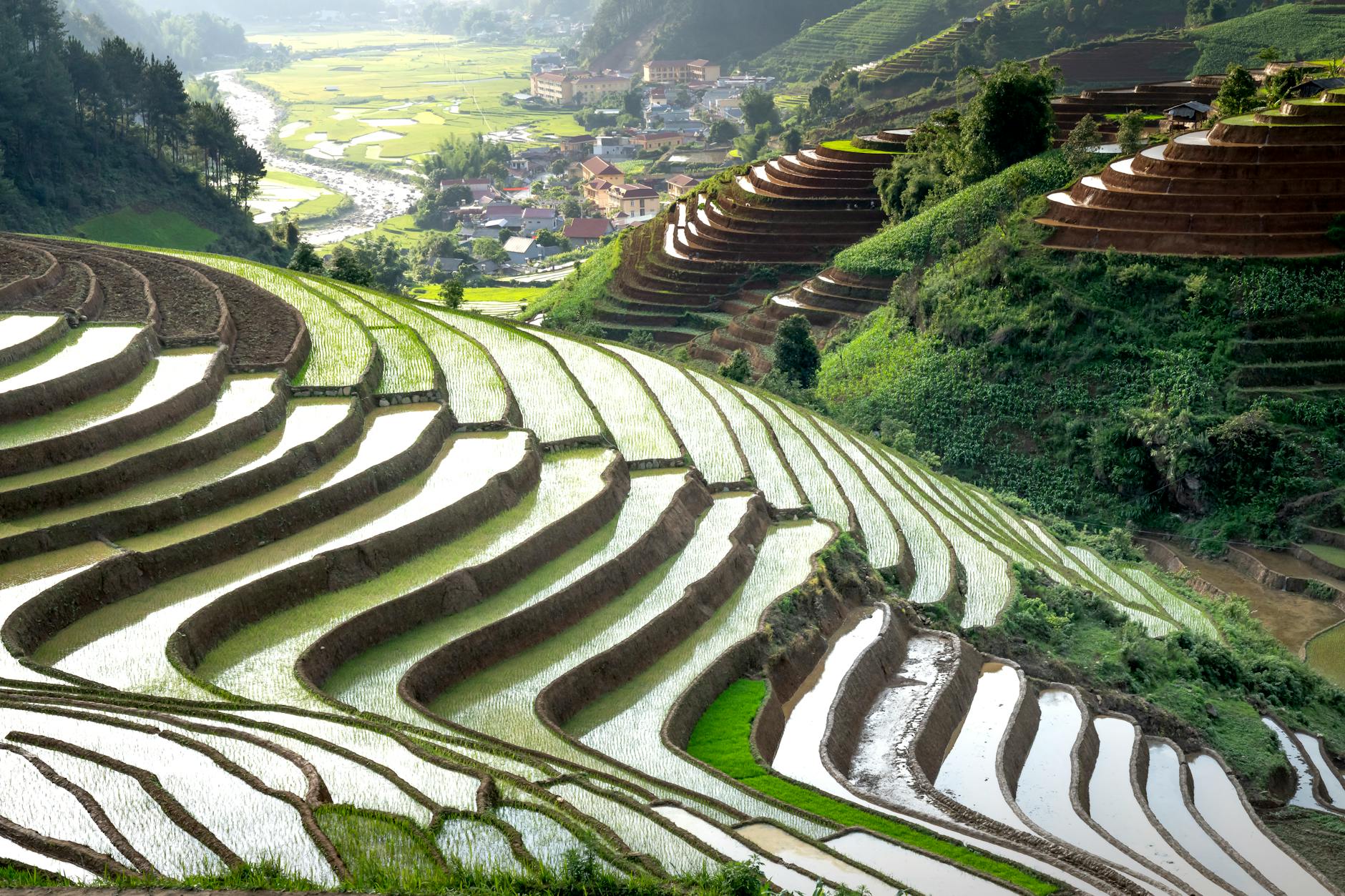 Scenic view of vibrant green rice terraces and village landscape under sunlight.