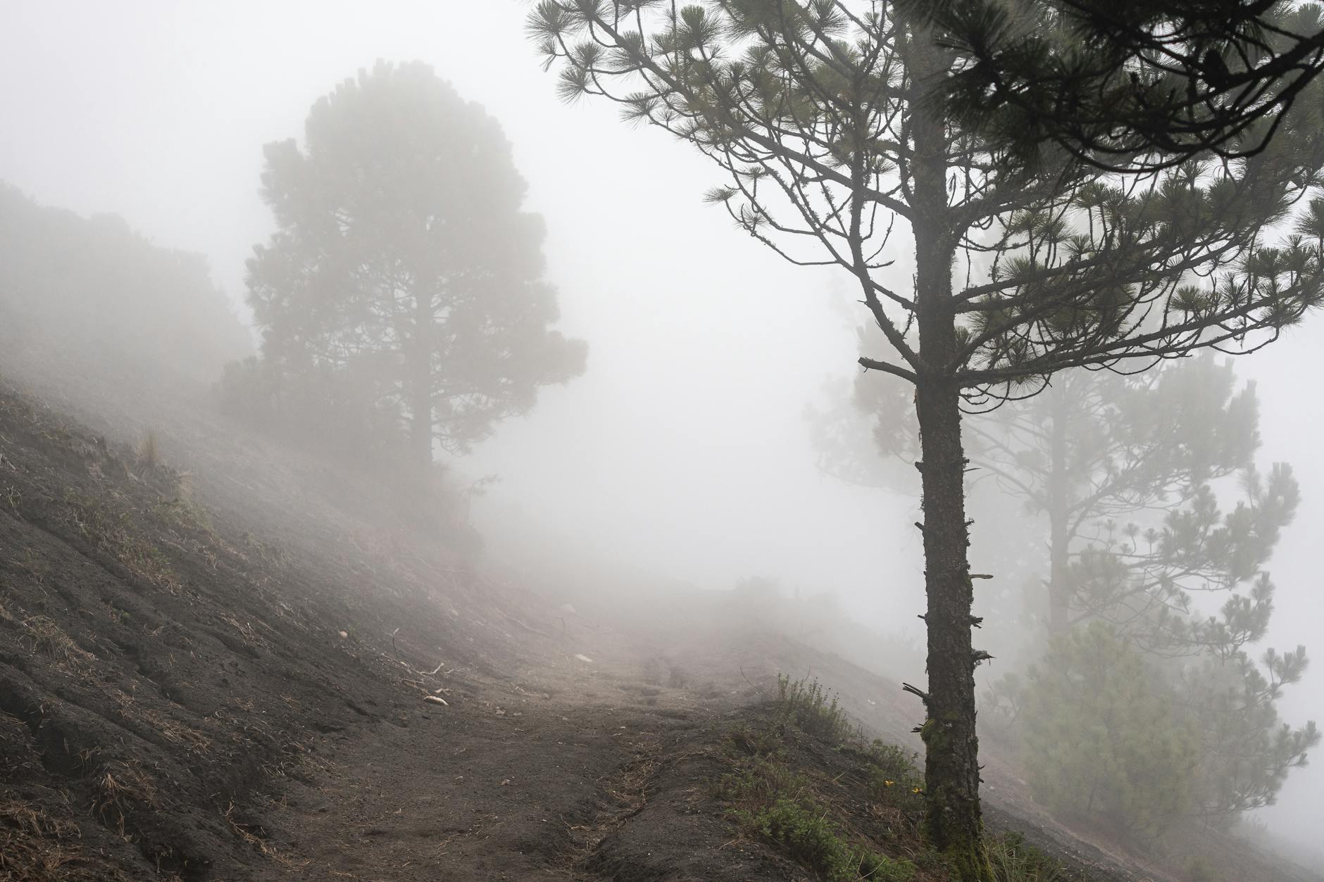 Leo núi cùng nhau, không có đỉnh núi nào là điểm đến duy nhất