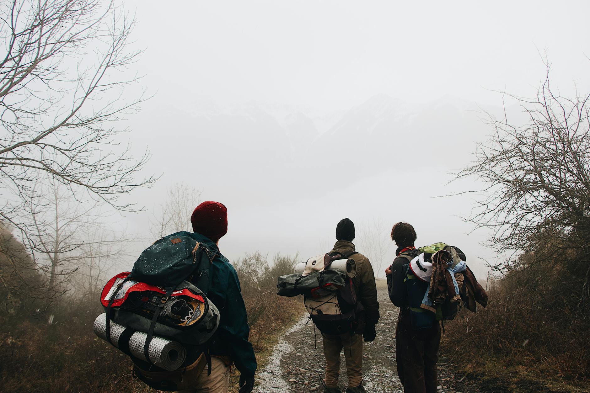 Three hikers explore a foggy winter trail, showcasing adventure and nature's beauty.