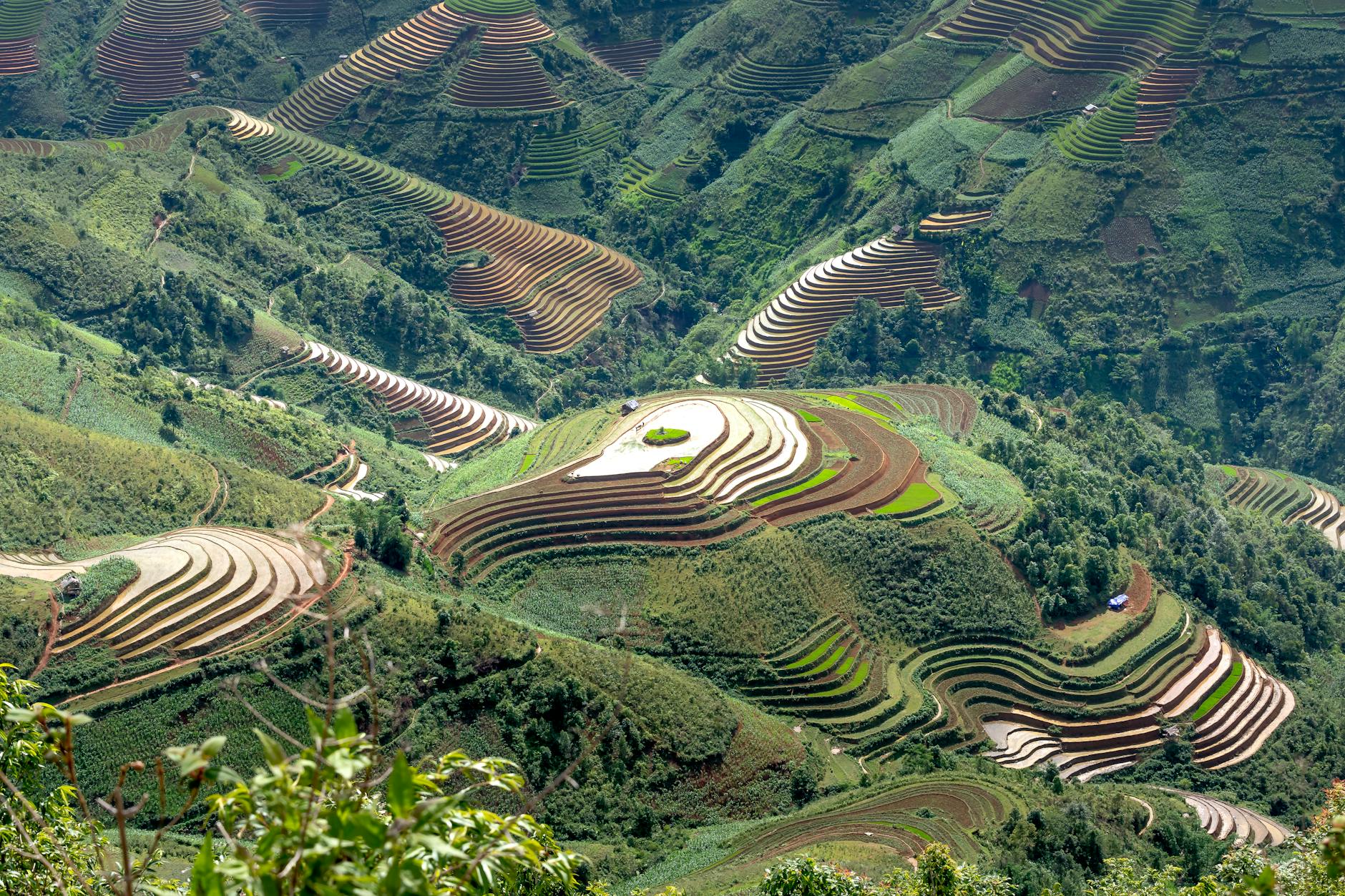 Scenic landscape of terraced rice plantations on green mountain slope in Mu Cang Chai in Vietnam