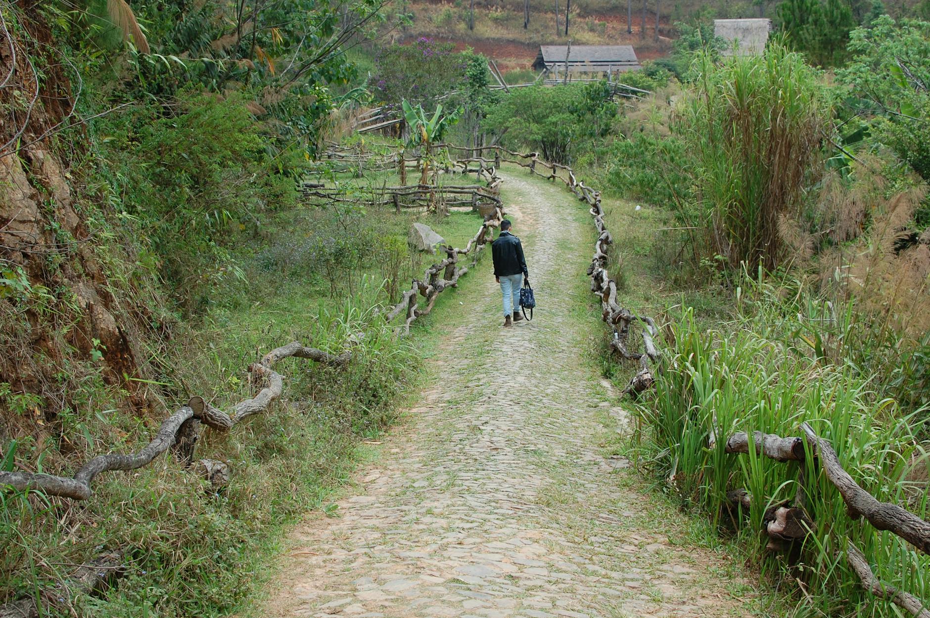 Cung rừng ngắn nhưng chuyện thì dài