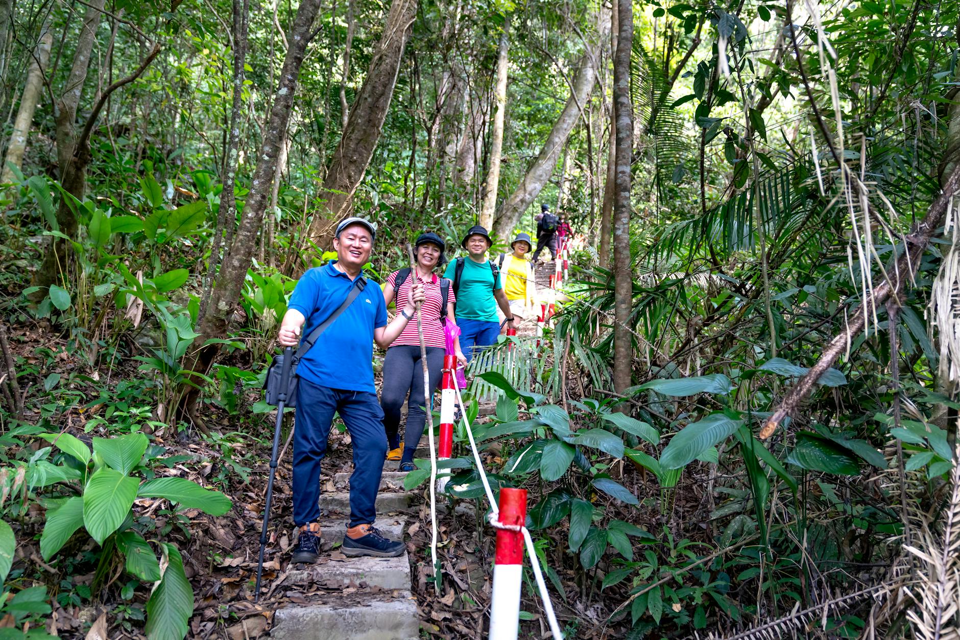 Group of adults enjoying a hiking adventure in a lush forest trail, surrounded by green foliage.
