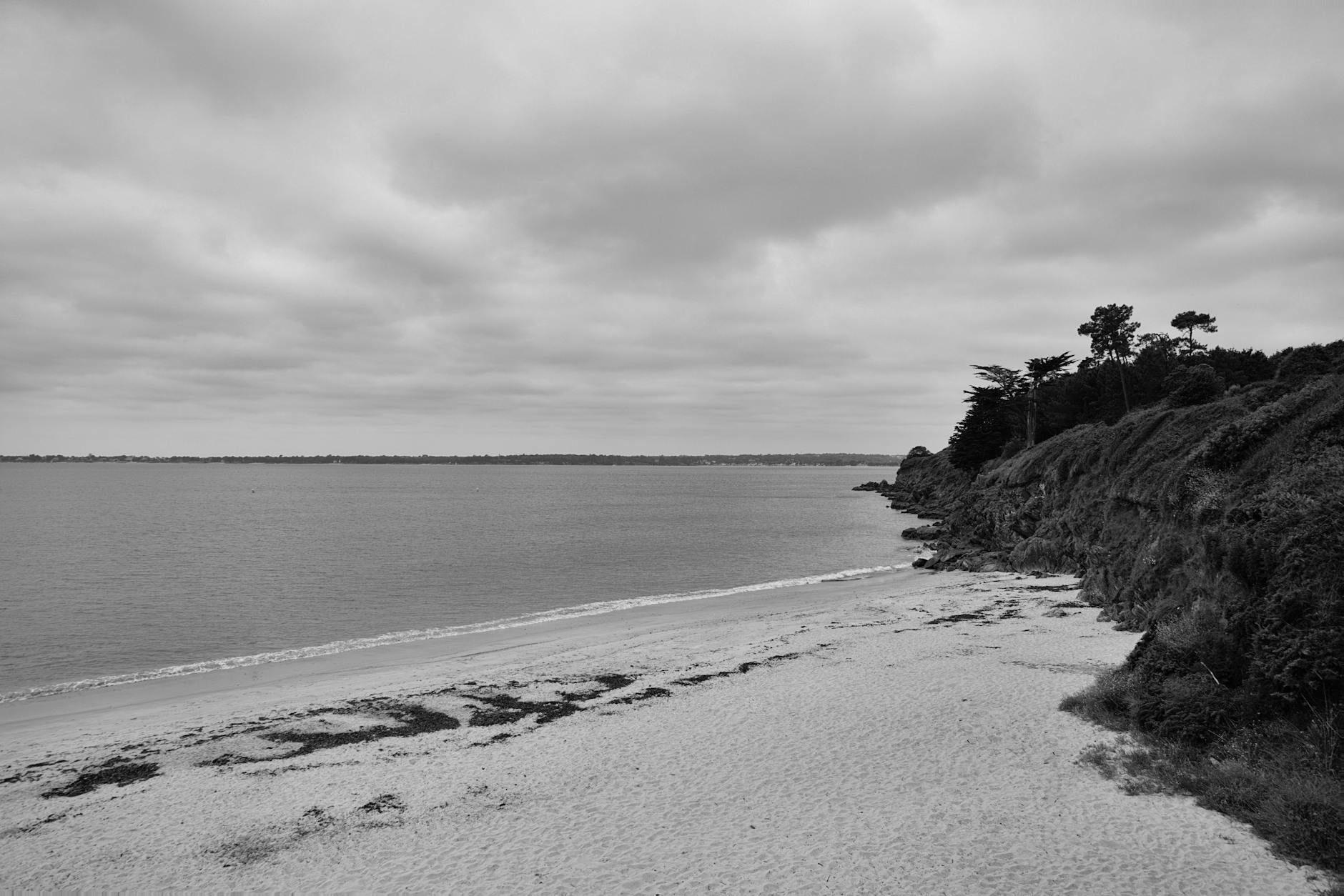 Peaceful black and white beach view with a cloudy sky and scenic coastline.