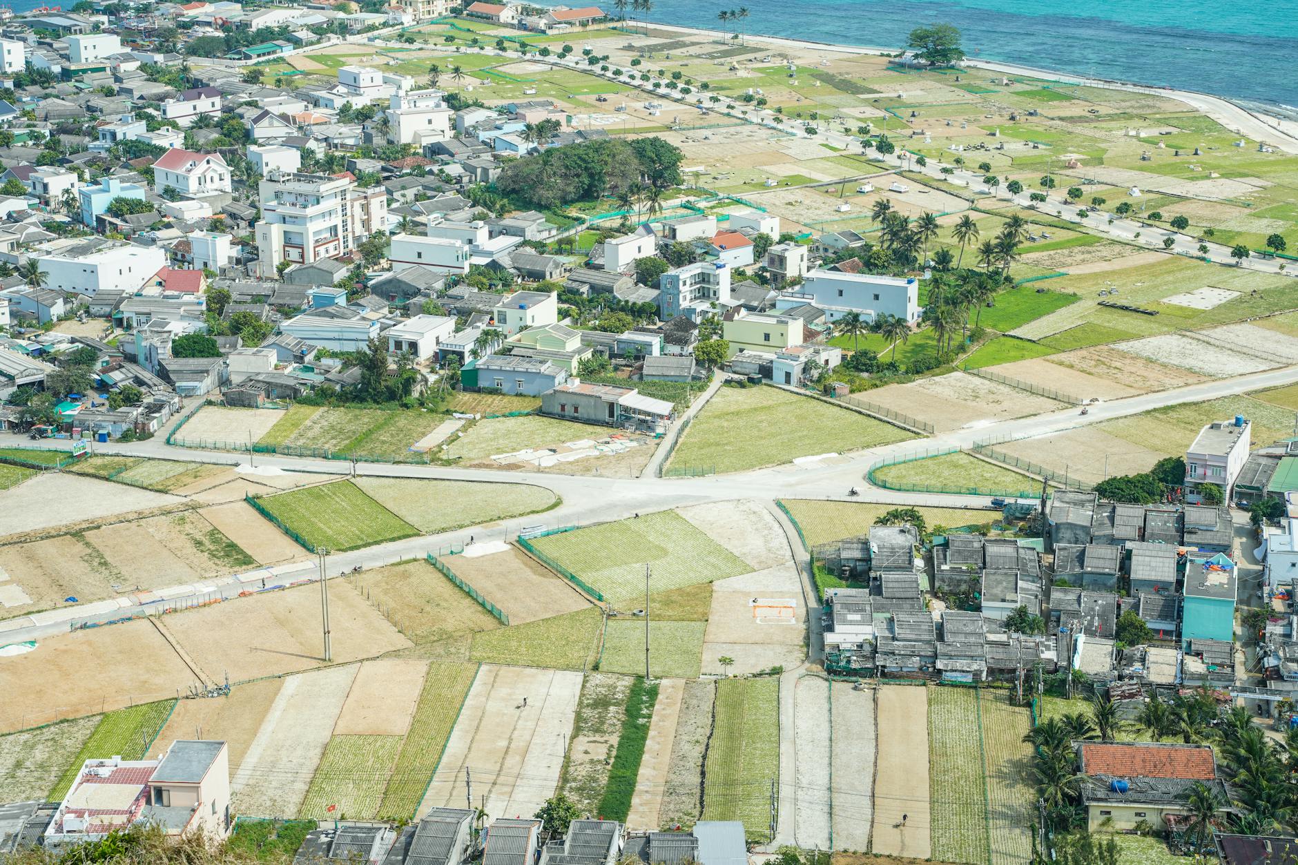 Vibrant aerial shot of Ly Son Island, showcasing picturesque fields and coastal scenery.