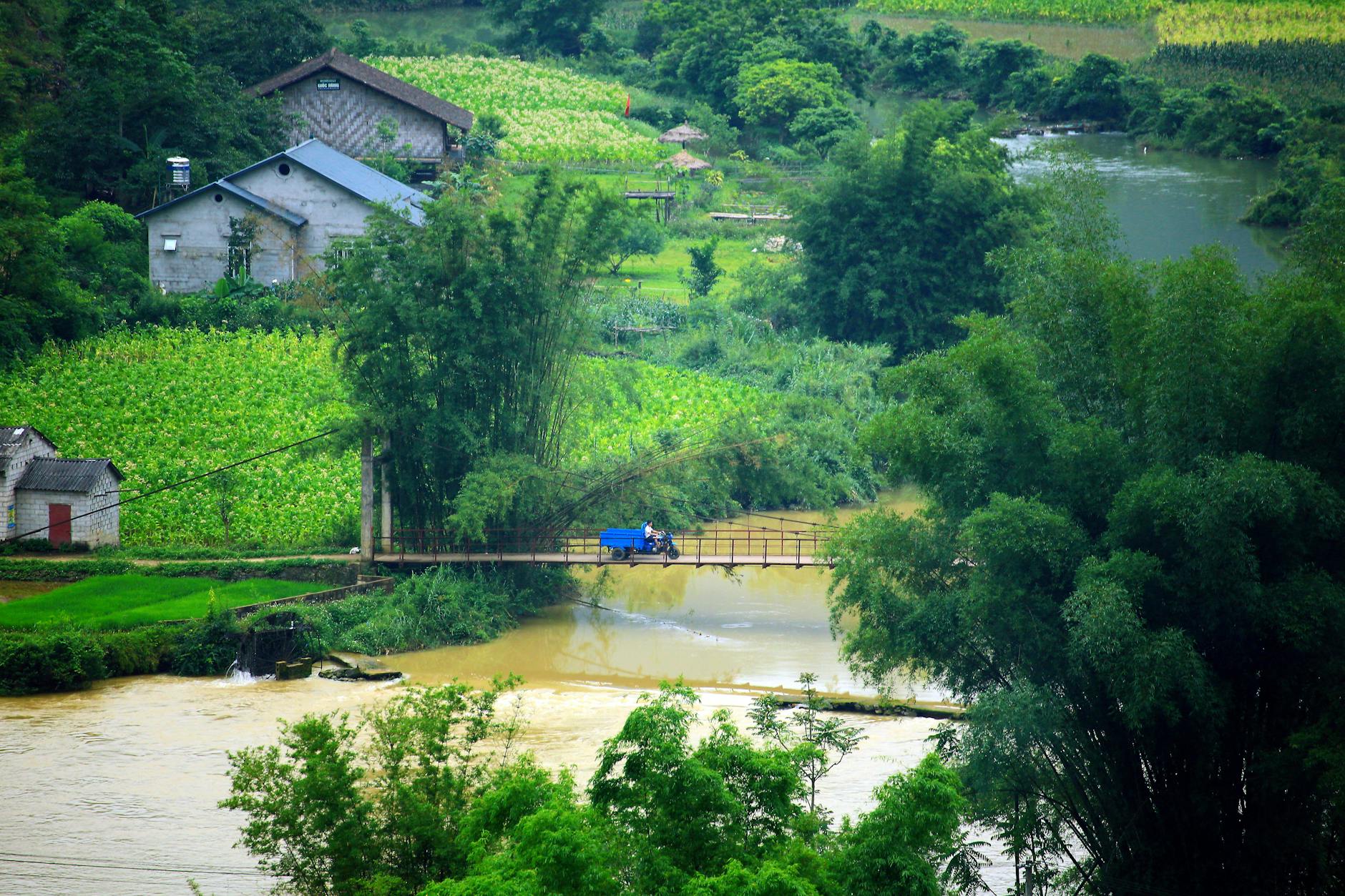 Aerial shot of a rural village near a river surrounded by lush greenery and fields.