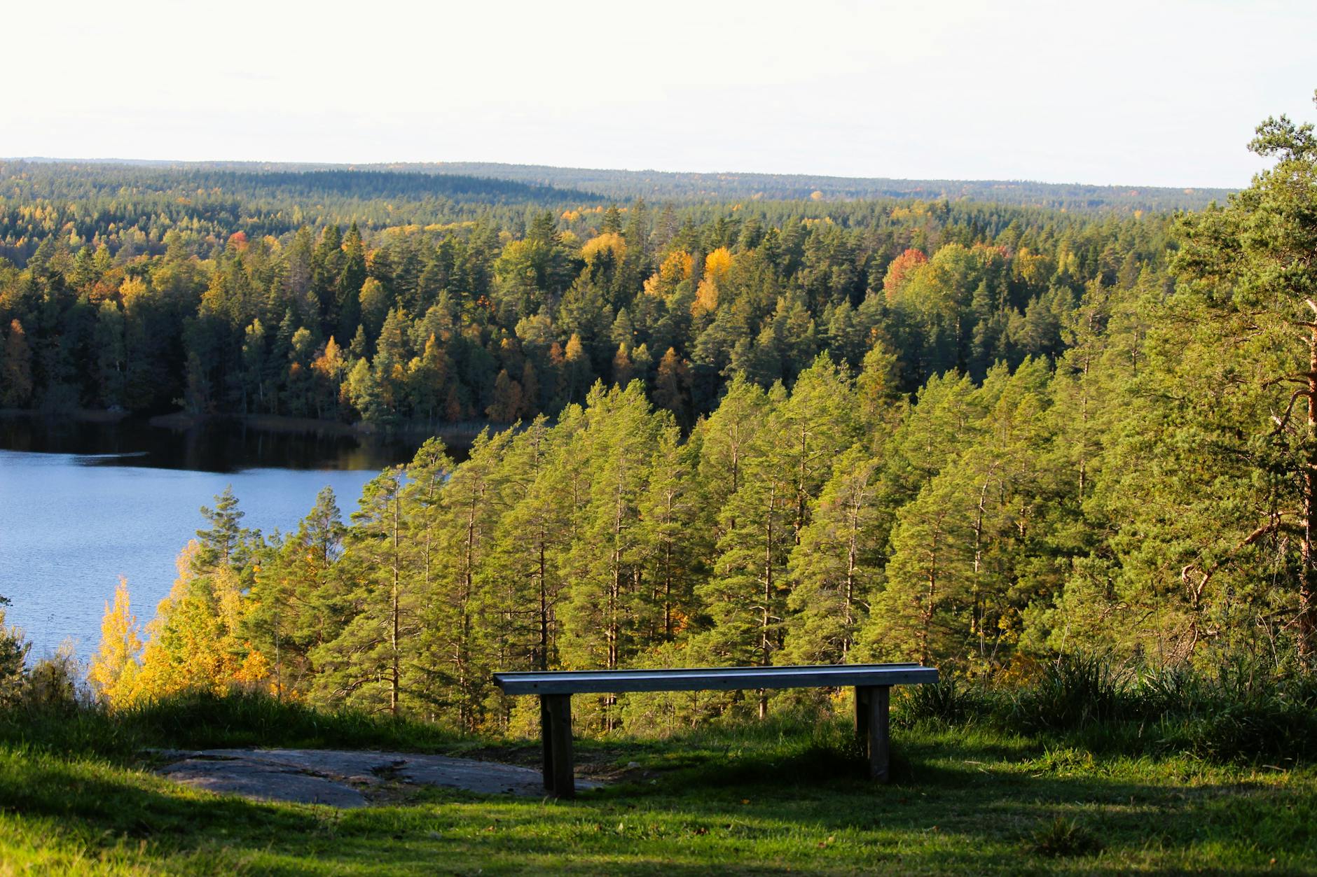 Tranquil autumn landscape featuring a lake and forest viewed from a resting bench, perfect for nature enthusiasts.
