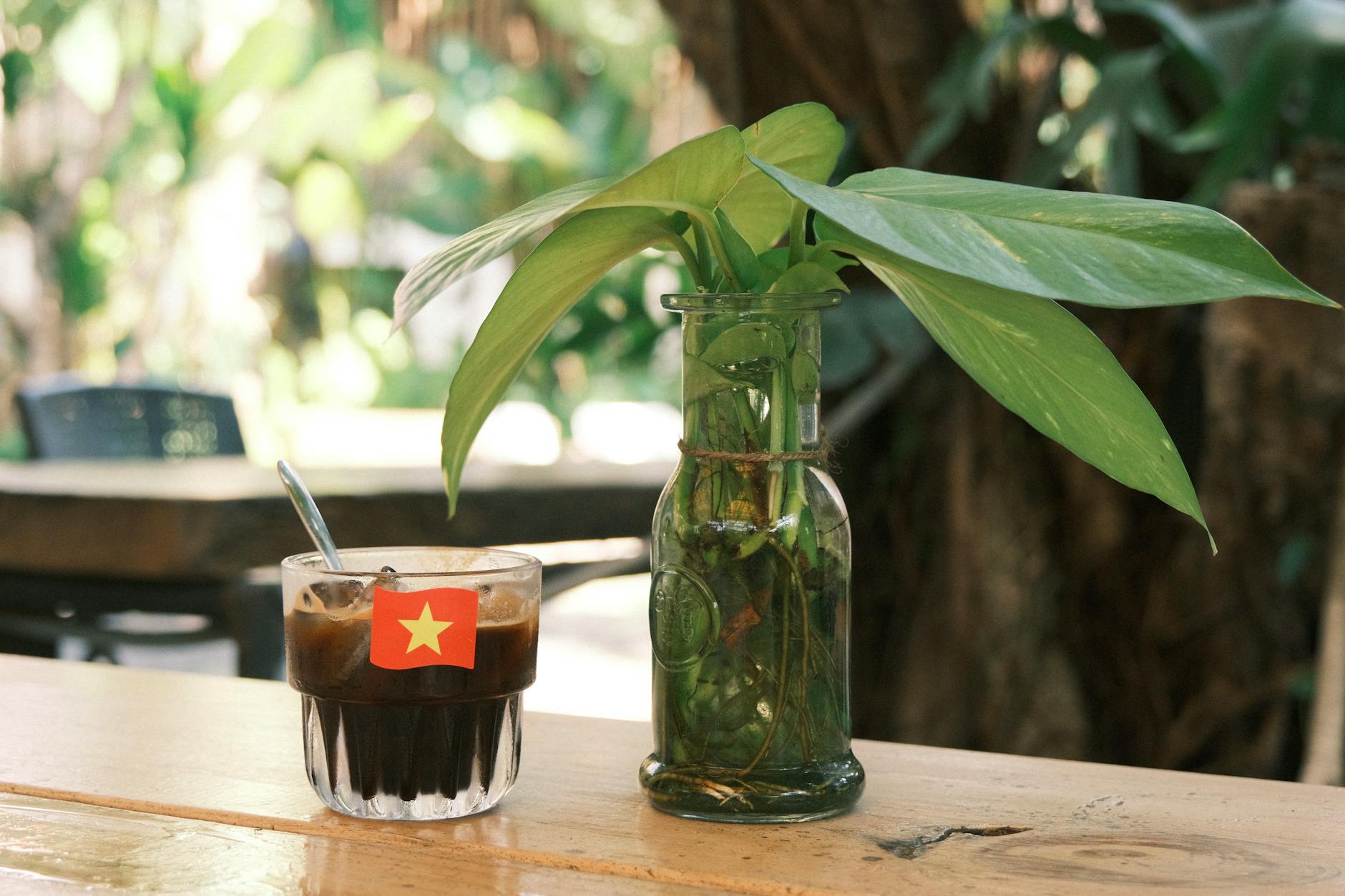 A refreshing Vietnamese iced coffee beside a lush green plant in a rustic setting outdoor.